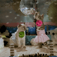 Craig Robinson Lol GIF by Gunpowder & Sky