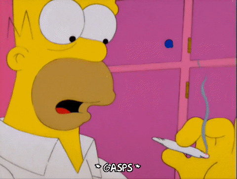 homer simpson GIF