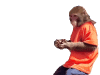 Fun Monkey Sticker