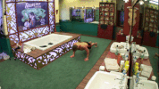 bbuk big brother cbb celebrity big brother bbuk GIF