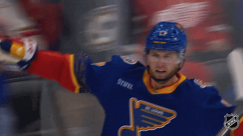 Happy National Hockey League GIF by NHL