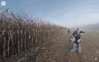 GIF by PBS