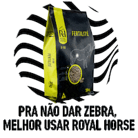 Zebra Cavalos Sticker by Socil