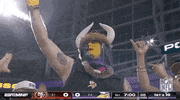 National Football League GIF by NFL