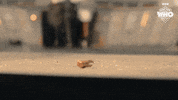David Tennant Sparkle GIF by Doctor Who