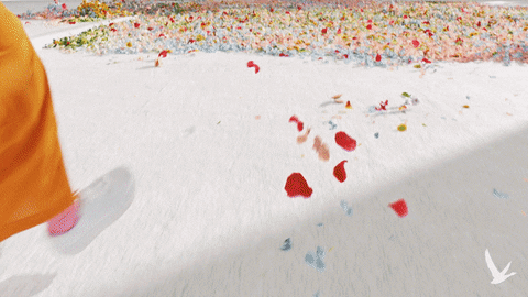 GIF by Grey Goose