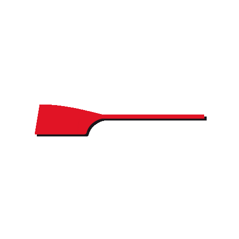 News Nachrichten Sticker by Rowing.at