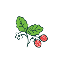 acti-sol gardening strawberries berries organicgarden Sticker