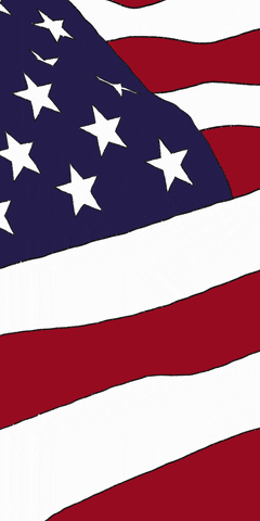 Independence Day Stars GIF by macniten