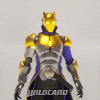 No Idea Idk GIF by Wildcard