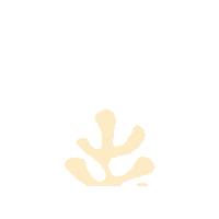 New-Practice avenue walkup craigmillar walkupavenue Sticker