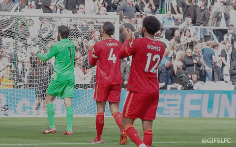 GifsLFC giphyupload lfc virgil vvd GIF