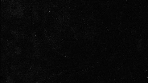 Con Mucho Acento GIF by Cruzcampo