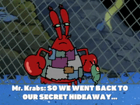 season 5 GIF by SpongeBob SquarePants