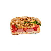 Cachorrao Sticker by MAM Brand Manage