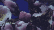 music video GIF by Rihanna