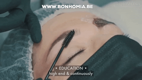 Bonhomiabelgium giphygifmaker beauty brows powderbrows GIF