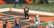 Cincinnati Bengals Football GIF by NFL
