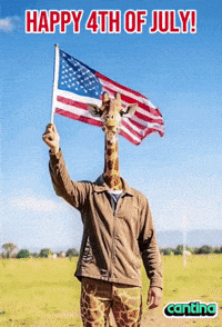 Independence Day America GIF by Cantina