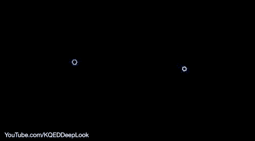 Snow Winter GIF by PBS Digital Studios