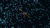 Space Corn GIF by Archives of Ontario | Archives publiques de l'Ontario