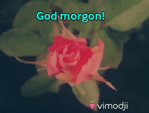 God Morgon GIF by Vimodji