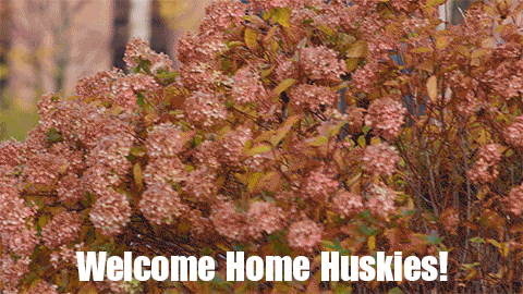 Welcome Home Mtu GIF by Michigan Tech