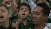 canta e vibra GIF by SE Palmeiras