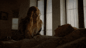 fox broadcasting help GIF by Fox TV
