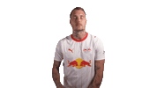 Red Bull Goal Sticker by RB Leipzig