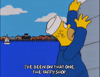 homer simpson ship GIF