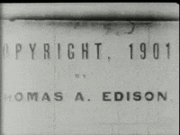 Mounted Police Cavalry GIF