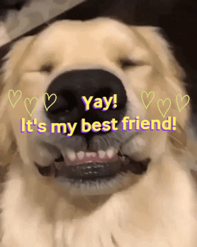 Casual_T giphygifmaker giphyattribution GIF