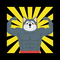 allisonchan2 dog gym power muscle GIF