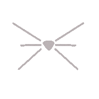 Panthers Cubs Sticker by Mount Carmel Academy