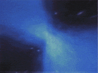 vhs positive GIF by rotomangler