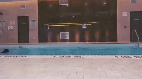 much giphyupload fun summer water GIF