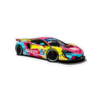Car Racing Sticker