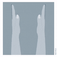 GIF by Novka