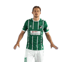 Sport Goal Sticker by VfB Lübeck