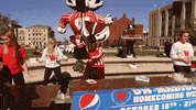 Wisconsin Badgers GIF by uwmadison
