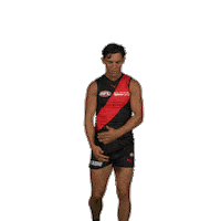 Dons Bombers Sticker by Essendon FC