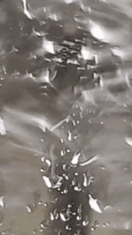 Simongip giphyupload GIF