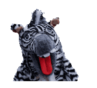 hcv1902 fun zebra hcv hcv1902 Sticker