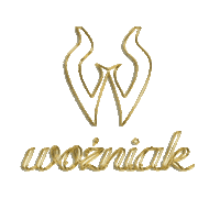 WozniakLLC  Sticker