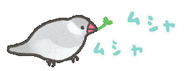 Bird Eat Sticker