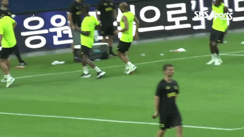 highansol93 giphyupload GIF