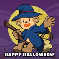 Happy Good Morning GIF by Wise Monkey Meme