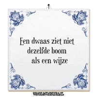 Boom Wijsheid Sticker by Tegelspreuken.nl