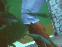 beyonce why dont you love me GIF